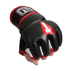 Рукавиці для MMA Title Performance Ground and Pound Training Gloves Black