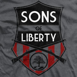 Футболка Ranger Up Sons of Liberty Normal-Fit T-Shirt, Фото № 3