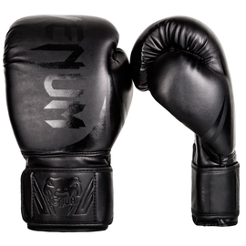 Боксерські рукавиці Venum Challenger 2.0 Boxing Gloves Matte Black