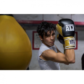 Боксерские перчатки Title Ali Infused Foam Training Gloves Black Gold, Фото № 4