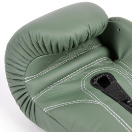 Боксерські рукавиці Fairtex F-Day BGV11 Limited Edition Boxing Gloves, Фото № 9