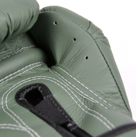 Боксерські рукавиці Fairtex F-Day BGV11 Limited Edition Boxing Gloves, Фото № 7