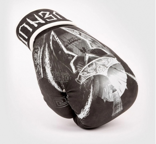 Venum GLDTR 4.0 boxing gloves buy