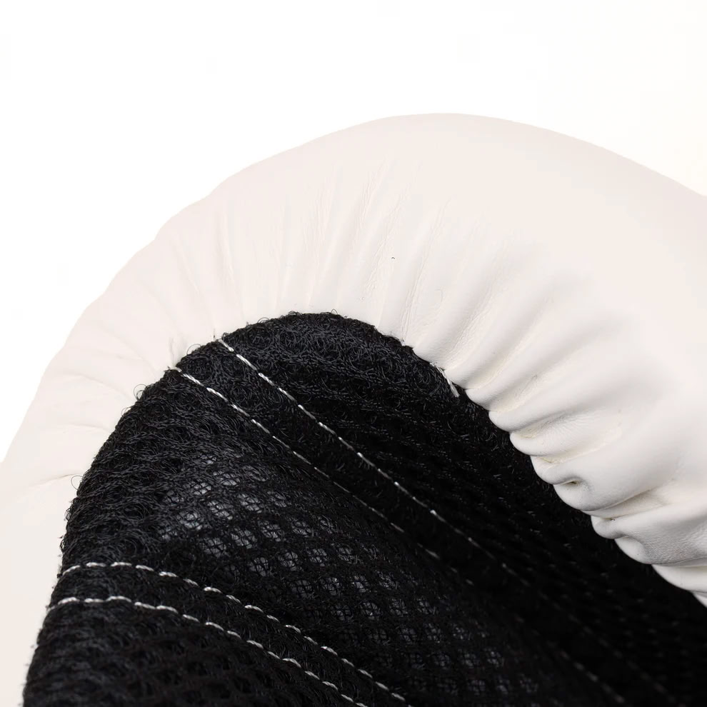 Boxing gloves Everlast Powerlock 2R Training Gloves Hook and Loop White in Ukraine