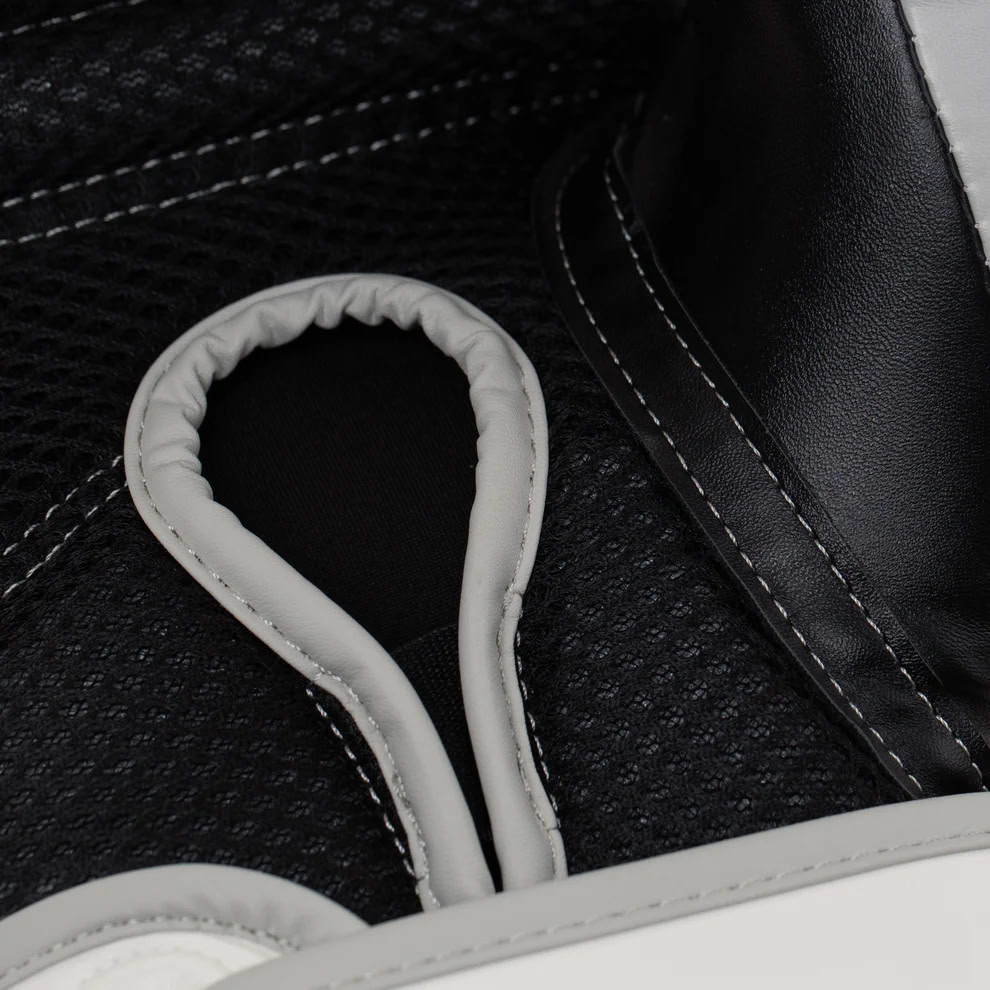 Boxing gloves Everlast Powerlock 2R Training Gloves Hook and Loop White Kyiv