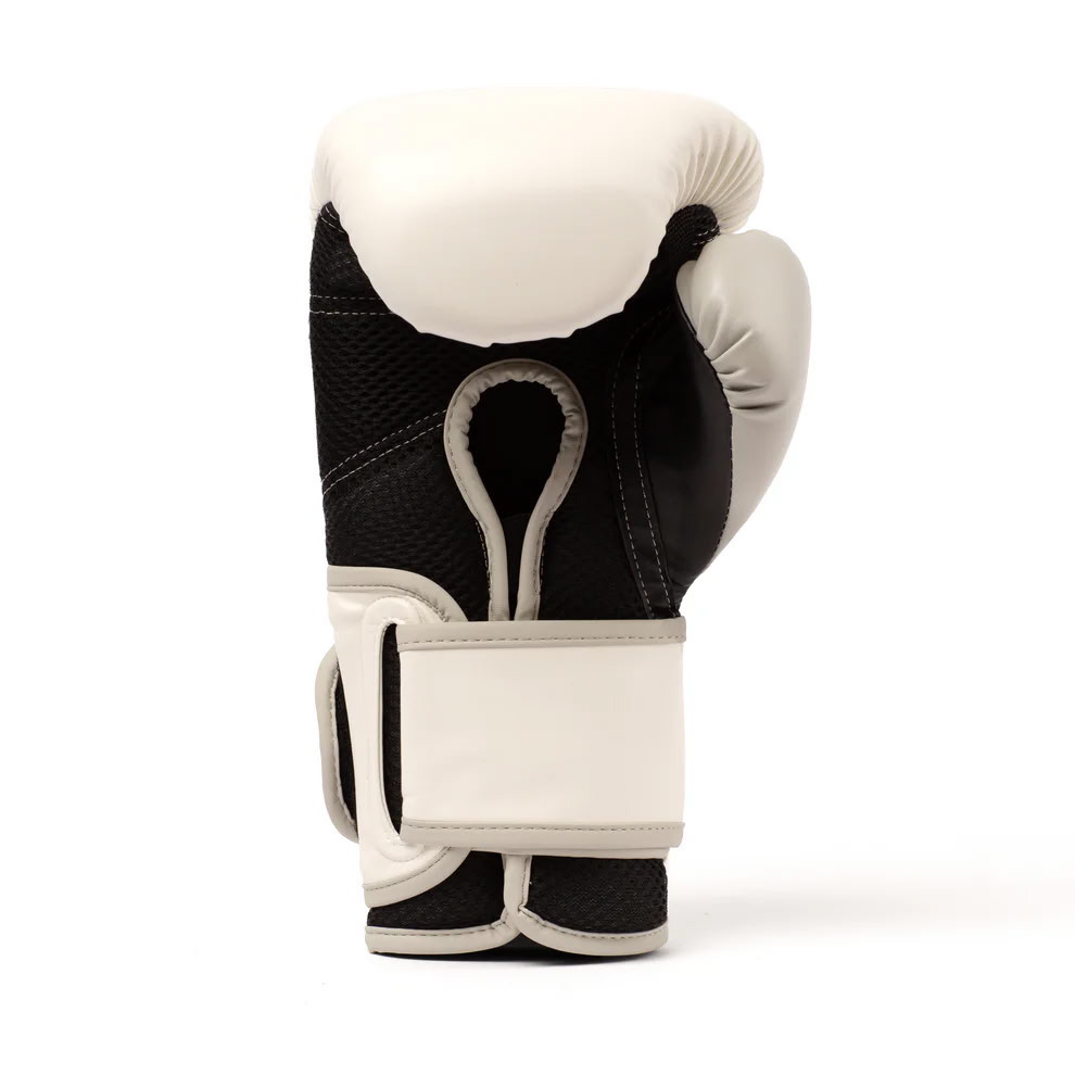Boxing gloves Everlast Powerlock 2R Training Gloves Hook and Loop White where to buy