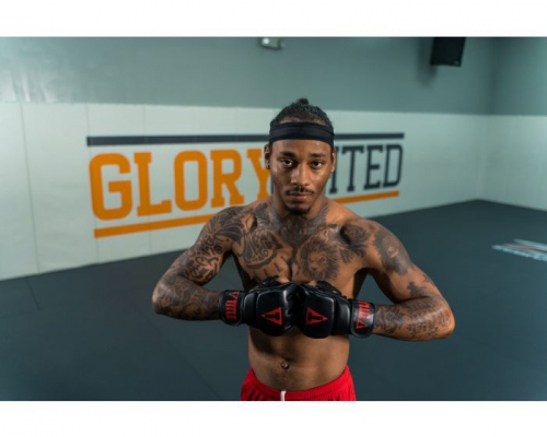 Title MMA Pro Training Gloves Black Black price