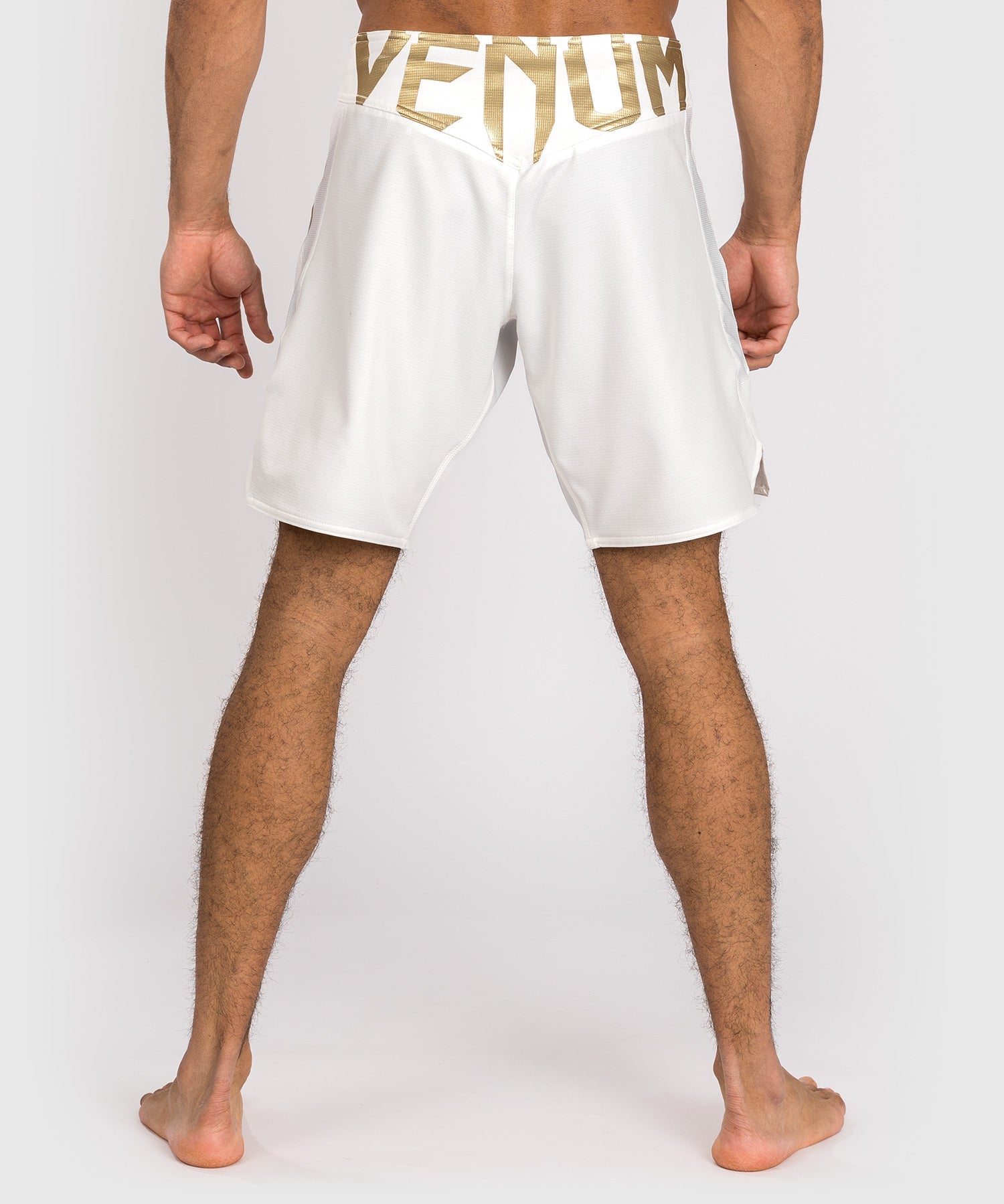 MMA shorts Venum Light 5.0 Fightshorts White Gold buy