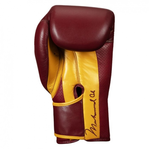 Боксерские перчатки Title ALI Limited Edition Training Gloves Maroon Gold цена