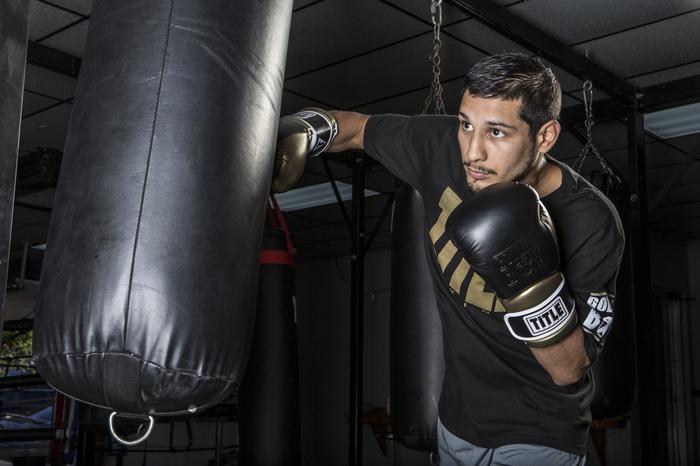 Title Golden Boy Pro Bag Gloves photo