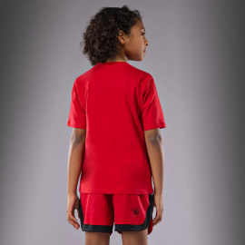 Детская футболка Venum Contender Kids T-Shirt - Cherry Red цена