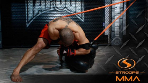 Тренувальна система Stroops Knee Strike фото