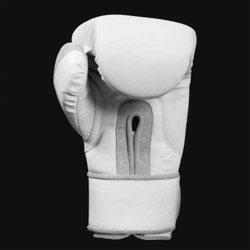 Боксерські рукавиці Title White Training Gloves 2.0 ціна