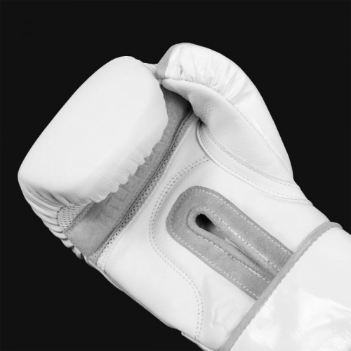 Боксерські рукавиці Title White Training Gloves 2.0 купити