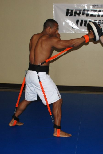 Stroops MMA Python Striker training system price