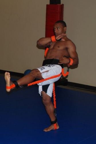 Stroops MMA Python Striker training system photo