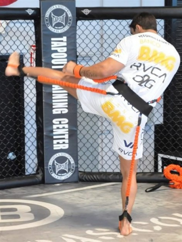 Stroops MMA Python Striker training system original