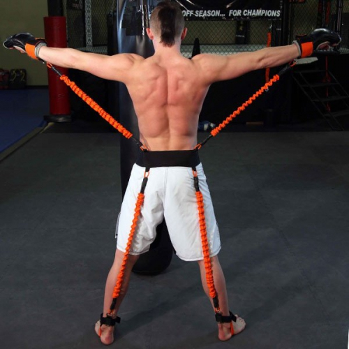 Stroops MMA Python Striker training system cost