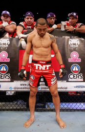 Шорты Venum Jose Aldo UFC 163 Ltd Edition Fightshorts - Red, Фото № 2