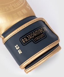 Rajadamnern x Venum Boxing Gloves Sand size