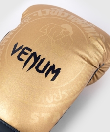 Rajadamnern x Venum Boxing Gloves Sand original