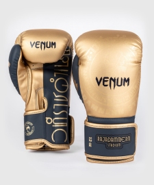 Боксерські рукавиці Rajadamnern x Venum Boxing Gloves Sand