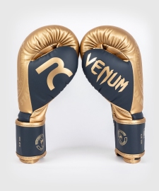 Rajadamnern x Venum Boxing Gloves Sand photo