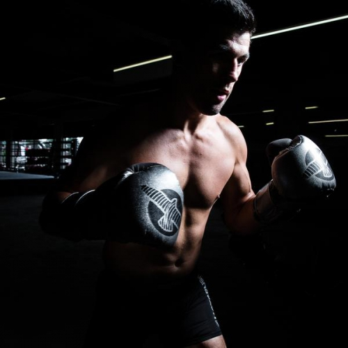 Boxing gloves Hayabusa Tokushu Regenesis Katana Gloves size