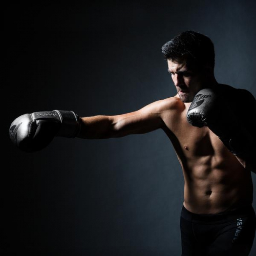 Boxing gloves Hayabusa Tokushu Regenesis Katana Gloves where to buy