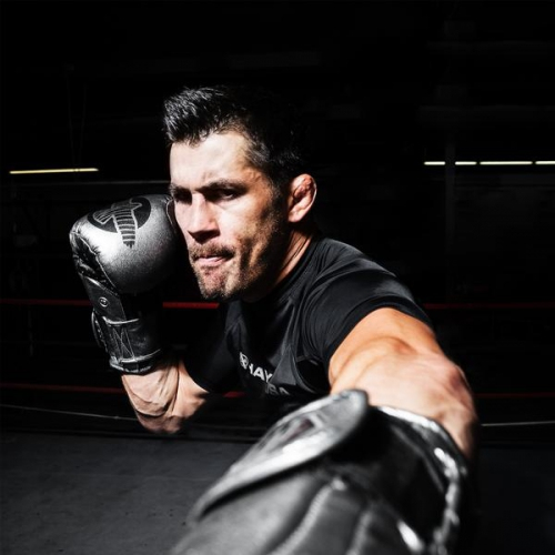 Boxing gloves Hayabusa Tokushu Regenesis Katana Gloves cost