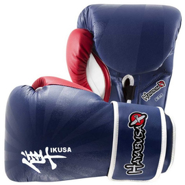 Перчатки боксерские Hayabusa Ikusa 16oz Blue-Red