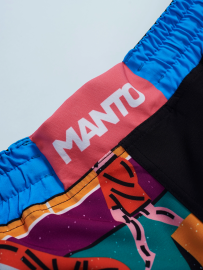 Детские шорты для MMA MANTO Kids Fight Shorts Gym 2.0 цена