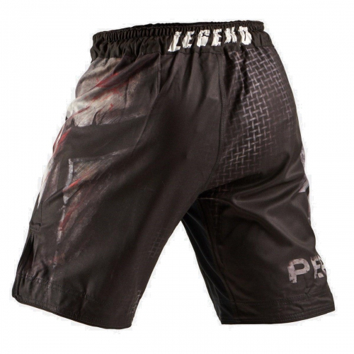 Шорты Peresvit Legend Fightshorts Last Stand цена