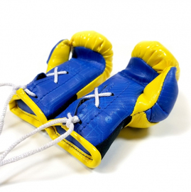 Брелок Rival Mini Boxing Gloves Loma Edition, Фото № 2