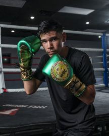 Боксерские перчатки Title WBC Green Belt Sparring Gloves, Фото № 6