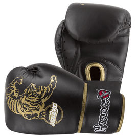 Боксерские перчатки Hayabusa Muay Thai 10oz Gloves