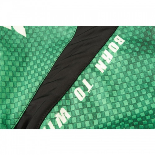 Peresvit Immortal Fightshorts Green Lantern price