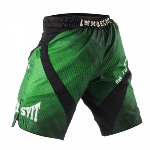 Peresvit Immortal Fightshorts Green Lantern buy