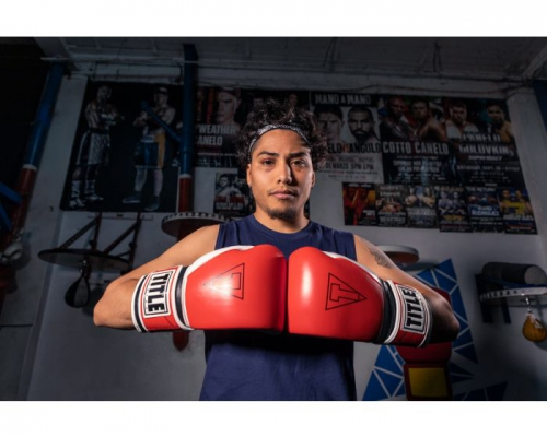 Boxing gloves Title GEL E-Series Training Gloves Red White buy