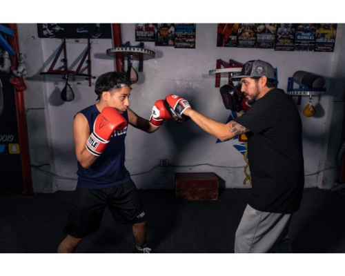 Boxing gloves Title GEL E-Series Training Gloves Red White price
