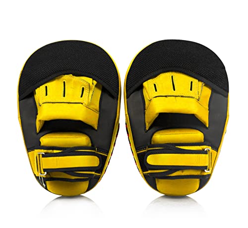 Боксерські лапи Fairtex Cardio Focus Mitts FMV13 Black Gold купити