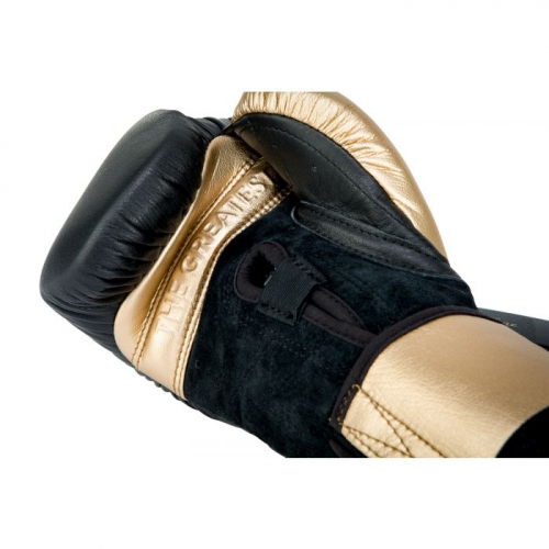 Title Ali Legacy Heavy Bag Gloves boxing gloves price