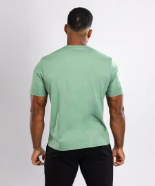 Футболка Venum Giant Connect T-Shirt - Lime Green цена
