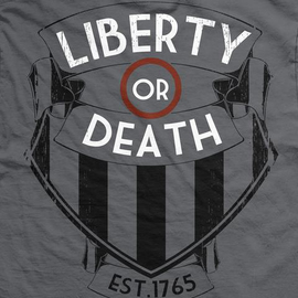 Футболка Ranger Up Sons of Liberty Normal-Fit T-Shirt, Фото № 4