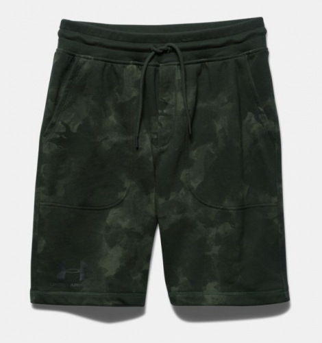 Under Armour Terry Graphic Shorts Rifle Green photo