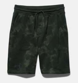 Шорты Under Armour Terry Graphic Shorts Rifle Green, Фото № 4