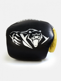 Боксерские перчатки Peresvit Fusion Boxing Gloves, Фото № 2