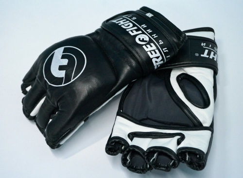 MMA Free-Fight Gloves Black buy
