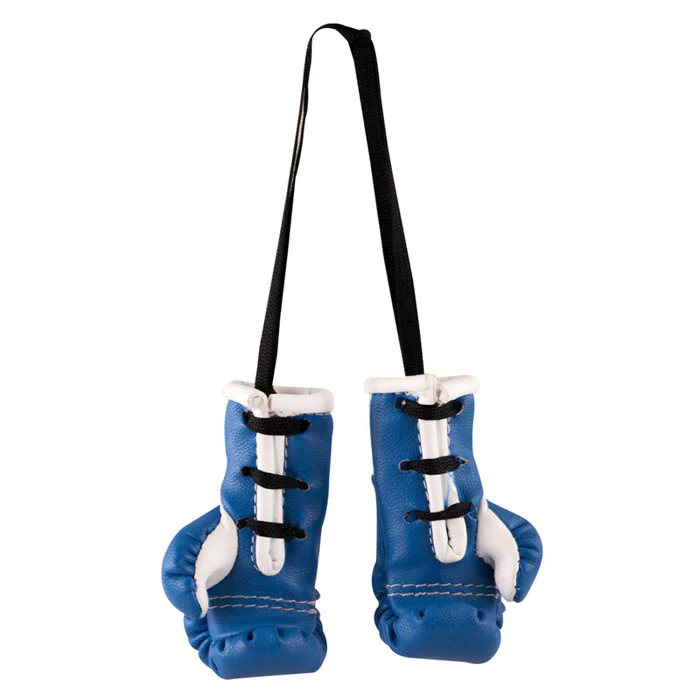 Сувенирные перчатки Cleto Reyes Minigloves Synthetic в Украине