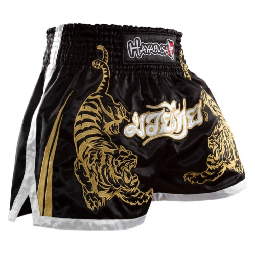 Thai shorts Hayabusa Premium Muay Thai Shorts Black photo